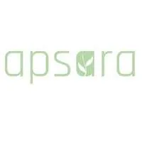 Apsara Investments