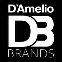 D'Amelio Brands