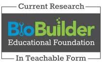 BioBuilder