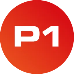 P1 Security