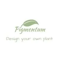 Pigmentum