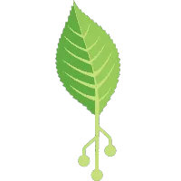 Digital Harvest
