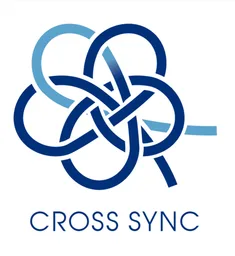 CROSS SYNC