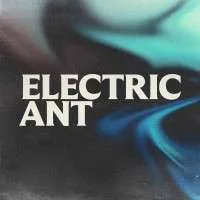Electric Ant