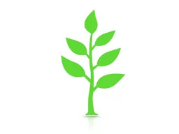 TSG Capital, VC Fund