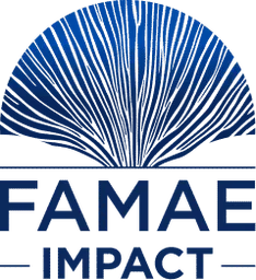 FAMAE Impact