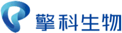 Tsingke Biotech