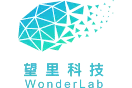 Wangli Technology