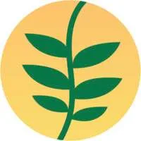 Suryanesia
