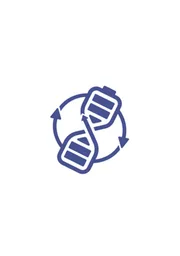Ruilong Technology