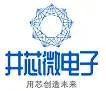 Jingxin Microelectronics