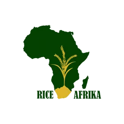 Rice Afrika