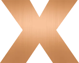 Vidi-X