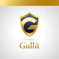 Gullit, VC Fund