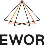 EWOR post-idea Fellowship