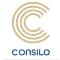 CONSILO WEB, VC Fund