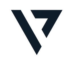 Vyzer