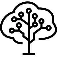 Brainforest