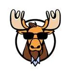 Wild Moose