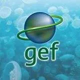 Global Environment Facility