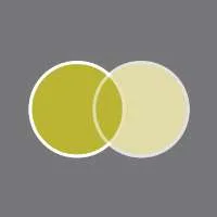 Europa Eyewear