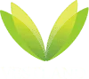 Vestland Group