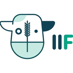 IIF