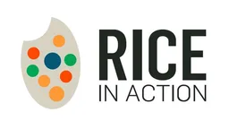 Rice in Action