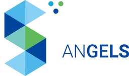 S Cubic Angels, VC Fund