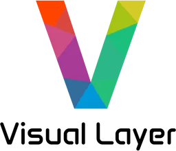 Visual Layer