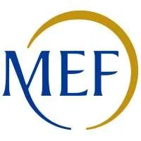 The Ministry of Economy and Finance, VC Fund