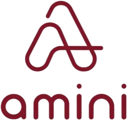 Amini