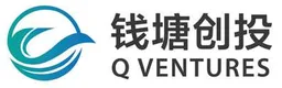 Q Ventures