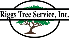 Riggs Tree Service