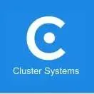 Cluster Systems
