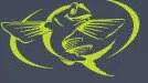 Flying Fish Creative Services