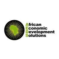 African Economic Development Solutions