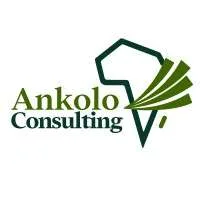Ankolo Consulting