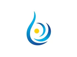 Dianshi Aviation