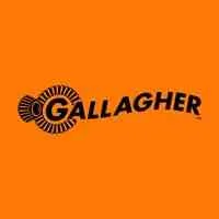 Gallagher, VC Fund