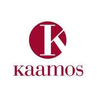Kaamos, VC Fund