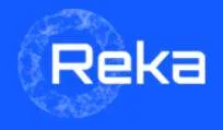 Reka AI
