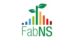FabNS