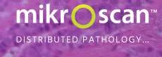 Mikroscan