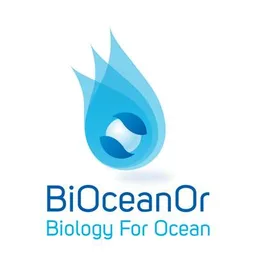 BiOceanOr