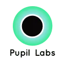 Pupil Labs