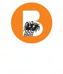 Balrampur Chini Mills