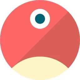 pNetwork