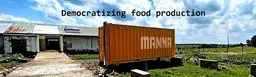 Manna Insect
