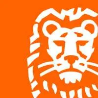 ING Bank, VC Fund